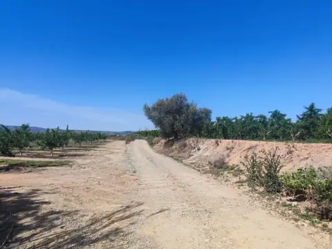 Finca rústica en Polígono Parcela 23