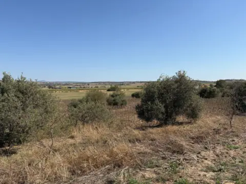Finca rústica en calle Binofelda. San Esteban de Litera (Huesca)
