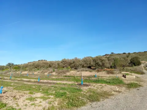 Terreno en Carretera Albalate, 1