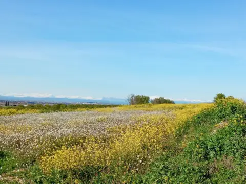 Terreno en Carretera Albalate, 1