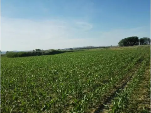 Terreno en calle Diseminados