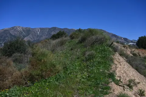 Terreno en Urbanización Loma del Flamenco, 1