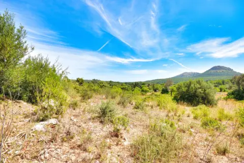 Finca rústica en Polígono 6, nº 264