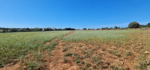 Terreno en Polígono 14, Par. 16