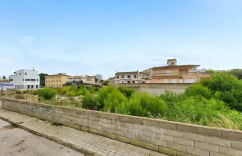 Terreno en calle Mosen Llorenc Riber, nº 8