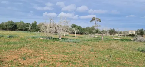 Finca rústica en Polígono 7, Par. 79