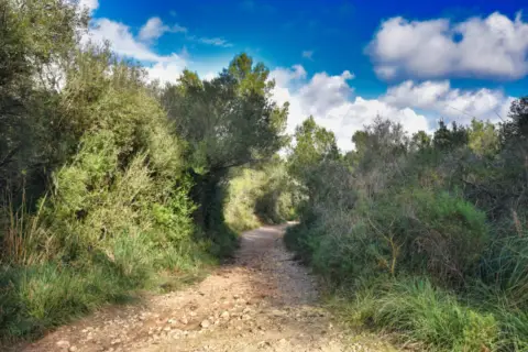 Finca rústica en Polígono 34, Par. 1254