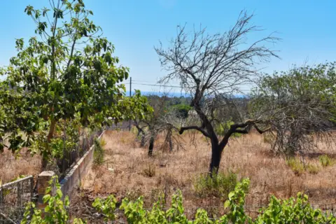 Casa rústica en calle Ma 4040, Km. 10