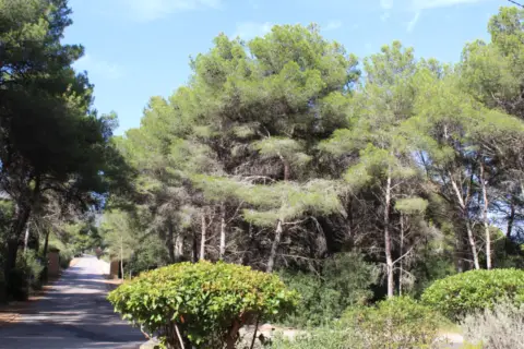 Terreno en Via dels Calés, 1