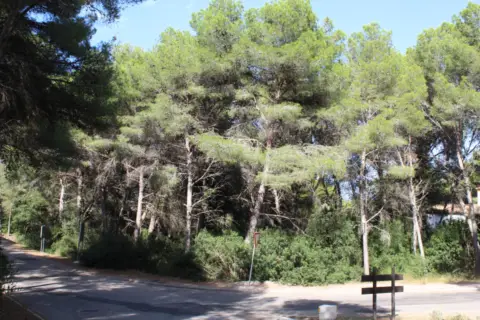 Terreno en Via dels Calés, 1