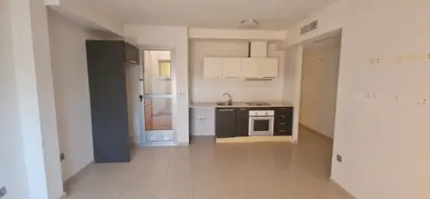 Piso en calle Profesor Juan Ruiz