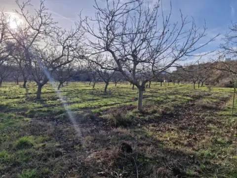 Finca rústica en calle Diseminado