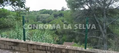 Terreno en Els Pinars