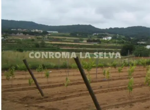 Finca rústica en Urbanitzacions El Mas Móra-Sant Daniel-Blanes Mar