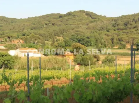 Finca rústica en Urbanitzacions El Mas Móra-Sant Daniel-Blanes Mar