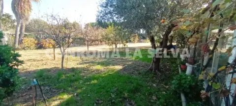 Finca rústica en Malgrat de Mar