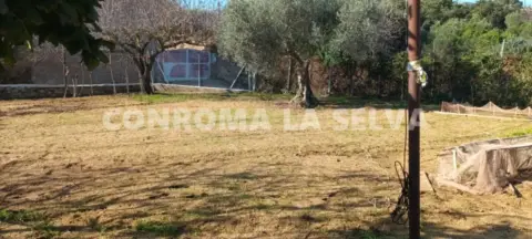 Finca rústica en Malgrat de Mar