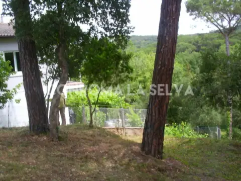 Terreno en Maçanet de La Selva