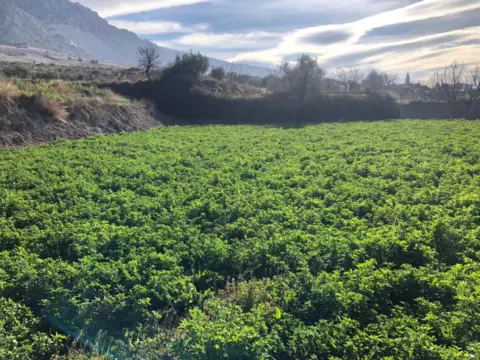 Terreno en Dúrcal
