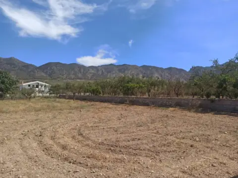 Terreno en Marchena