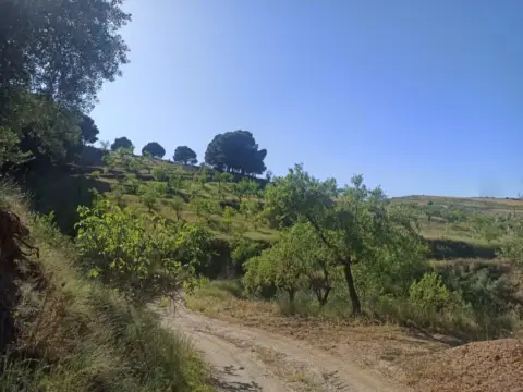 Terreno en calle Poligono 3
