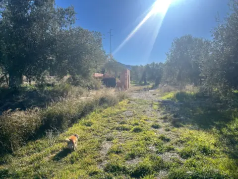 Terreno en calle Poligono 7