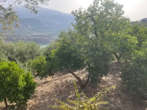 Terreno en Pinos del Valle