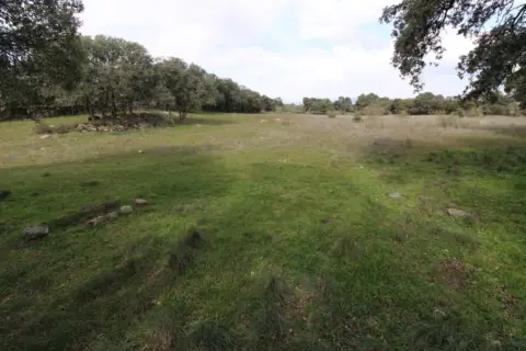 Finca rústica en calle los Cercones del Berrocal, nº 95