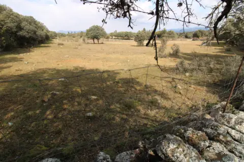 Finca rústica en calle los Cercones del Berrocal, nº 95