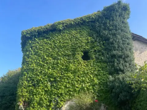 Casa en Comunión - Komunioi