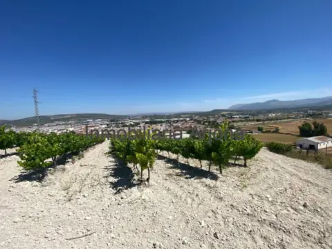 Finca rústica en Camino Viejo de Rute