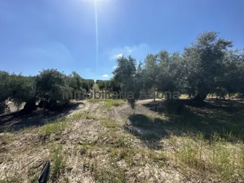 Finca rústica en Carretera de Puente Genil a Lucena