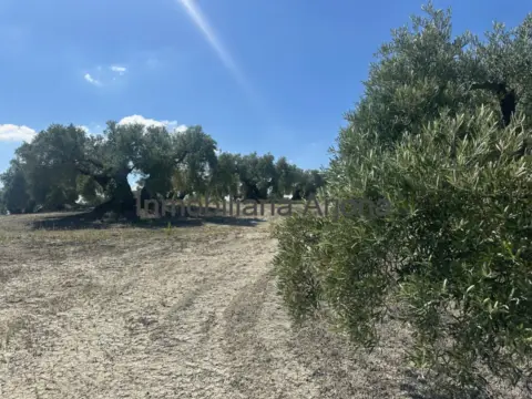 Finca rústica en Carretera de Puente Genil a Lucena