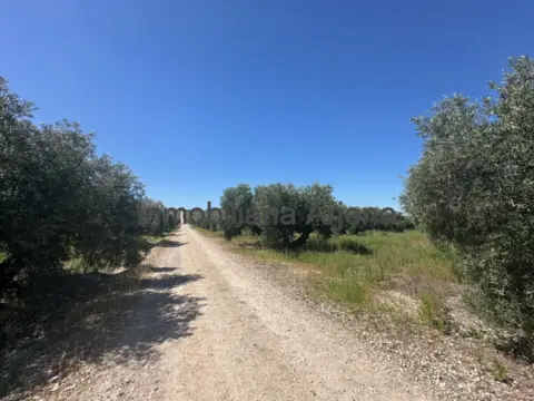 Finca rústica en calle Carretera Cortijo Alcantarilla