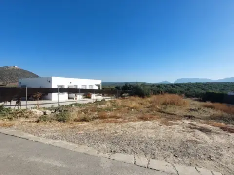 Terreno en Diseminado Campo Aras