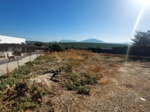 Terreno en Diseminado Campo Aras