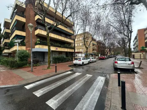Local comercial en calle del Algarrobo
