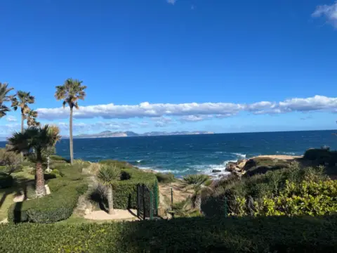 Piso en Carrer de l'Orquídea