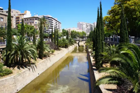 Estudio en Passeig de Mallorca