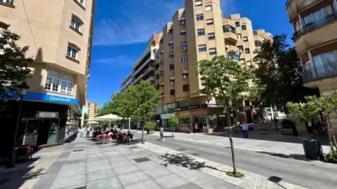 Piso en Avenida de San Pedro de Alcántara