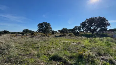 Terreno en calle Nacional 523, Caceres, nº 18