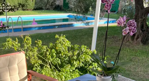 Chalet unifamiliar en Bollullos de La Mitación