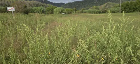 Terreno en La Farga