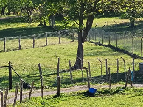Finca rústica en calle La Chalana