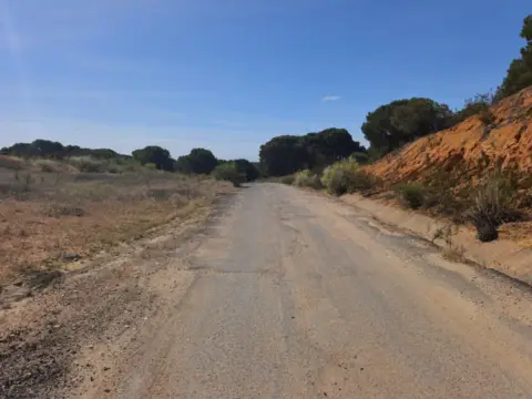 Terreno en Carretera Rincón