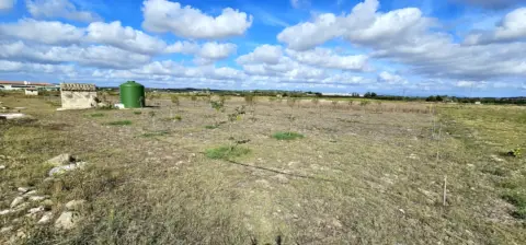 Terreno en calle S´ Hort Nou