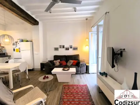 Piso en El Mentidero-Teatro Falla-Alameda