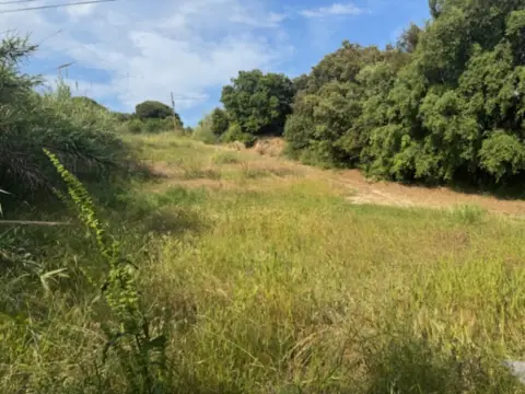 Finca rústica en calle Orsevinya, nº 1