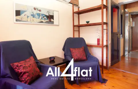 Estudio en Carrer de Perot lo Lladre