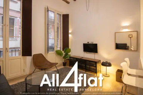 Loft en Carrer dels Escudellers
